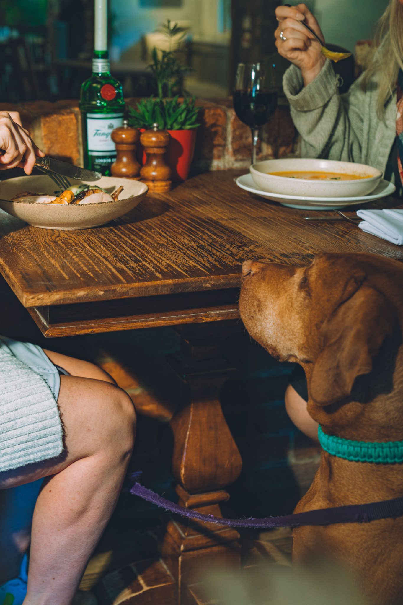 Commercial photo of eating food in a rustic pub
